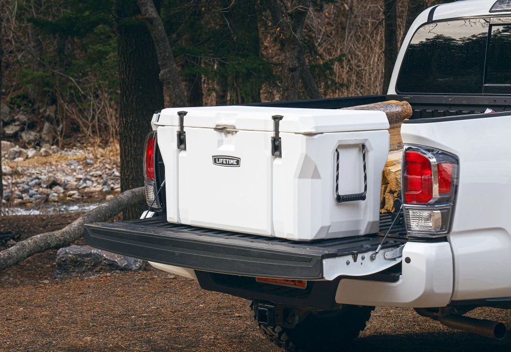 ice cooler chest