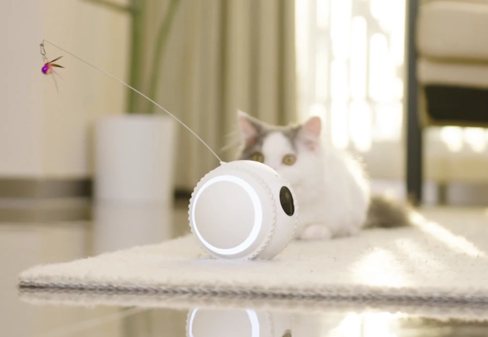 best indoor security camera for pets