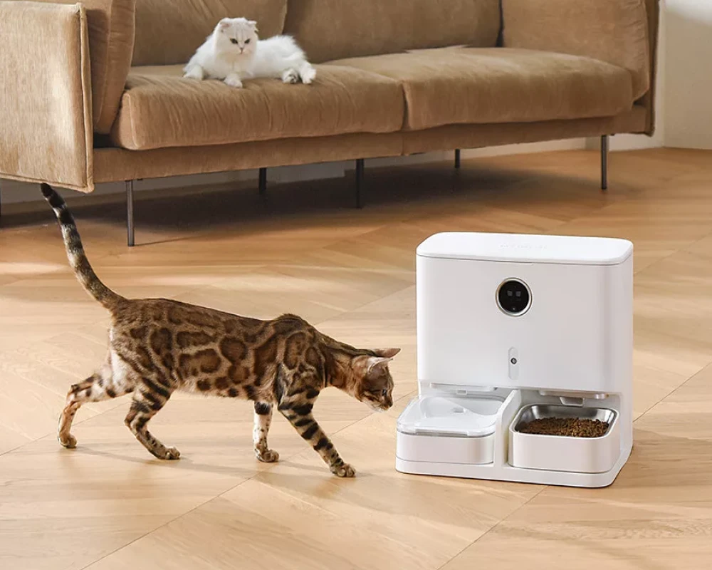 dog food feeder automatic