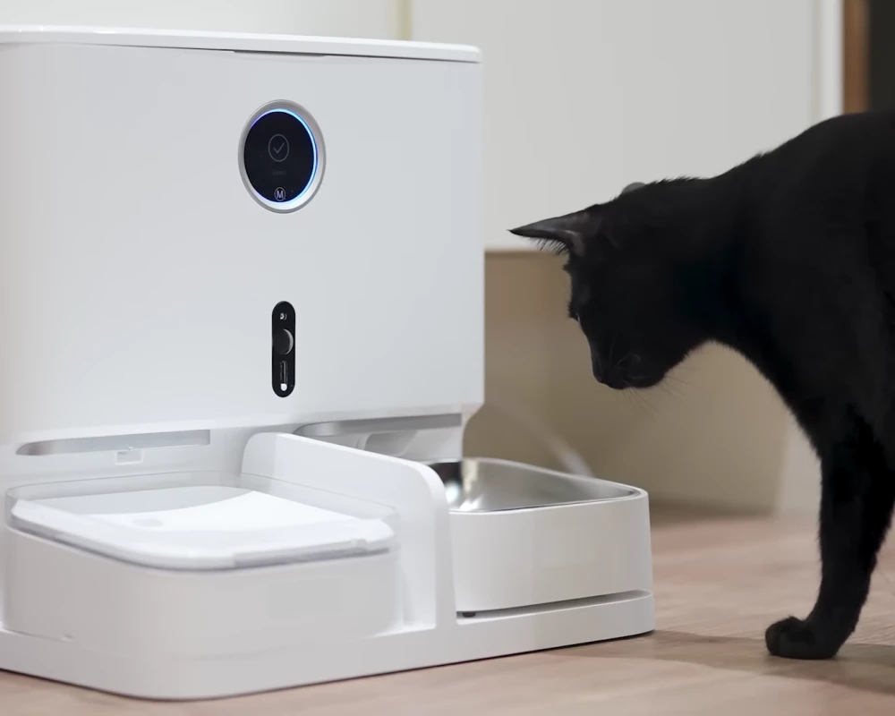 best automatic pet feeder